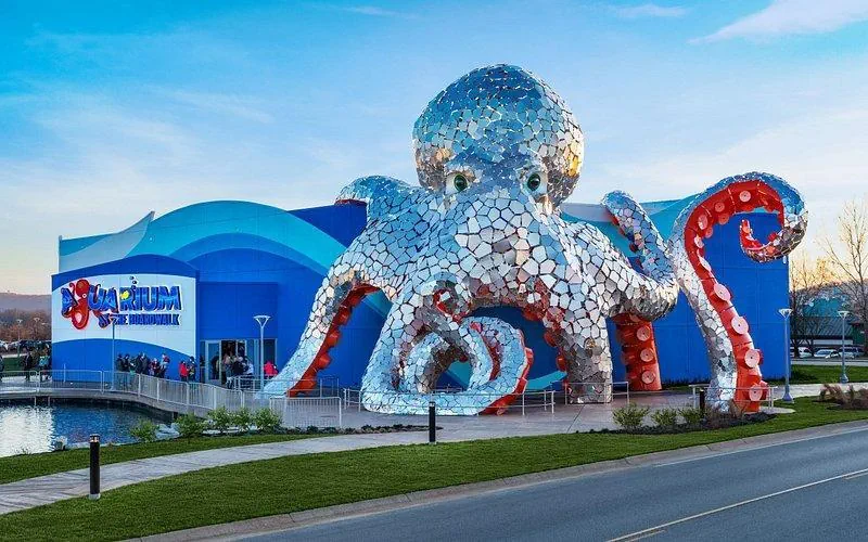 Silver Dollar City Swings